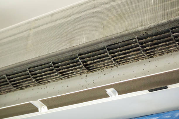 Best Affordable HVAC Duct Cleaning  in Dyersville, IA